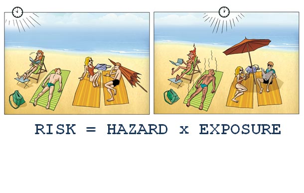 Risk-based or Hazard-based Regulation – The Risk-Monger