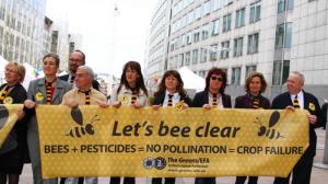 13580822845-3405779d46-z