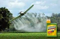 roundup2baerial2bspraying