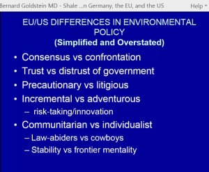 Goldstein precaution and litigation